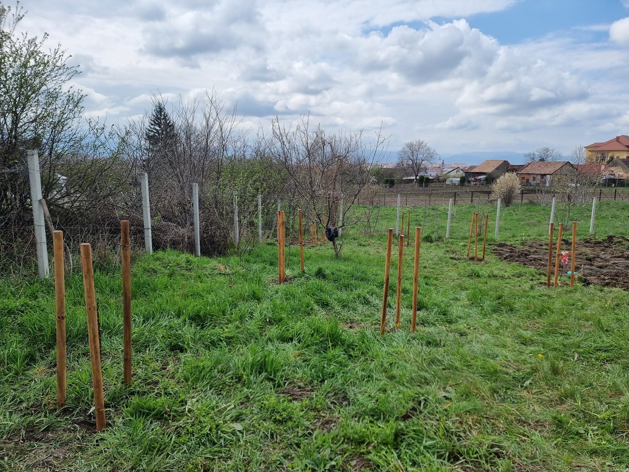 Șura Culturală Gușterița Preview 1